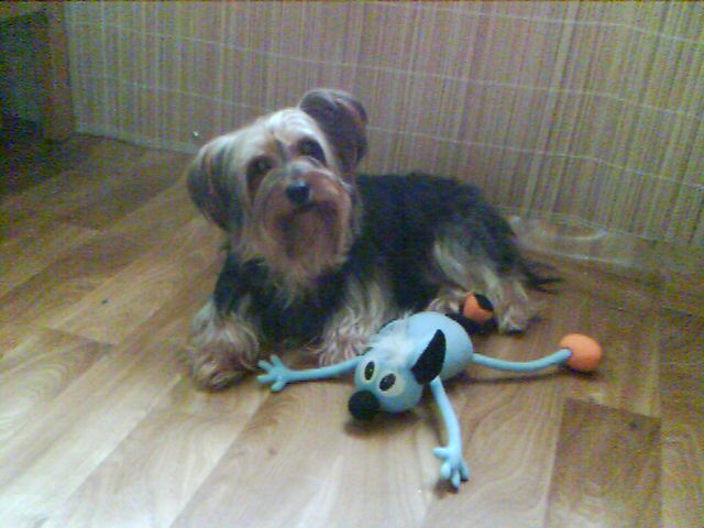 IMAGE_00210.jpg