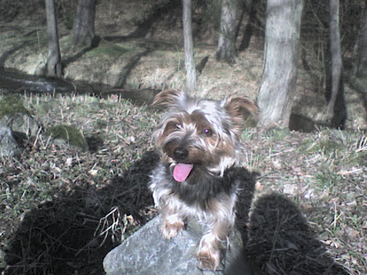 DSC00117.JPG