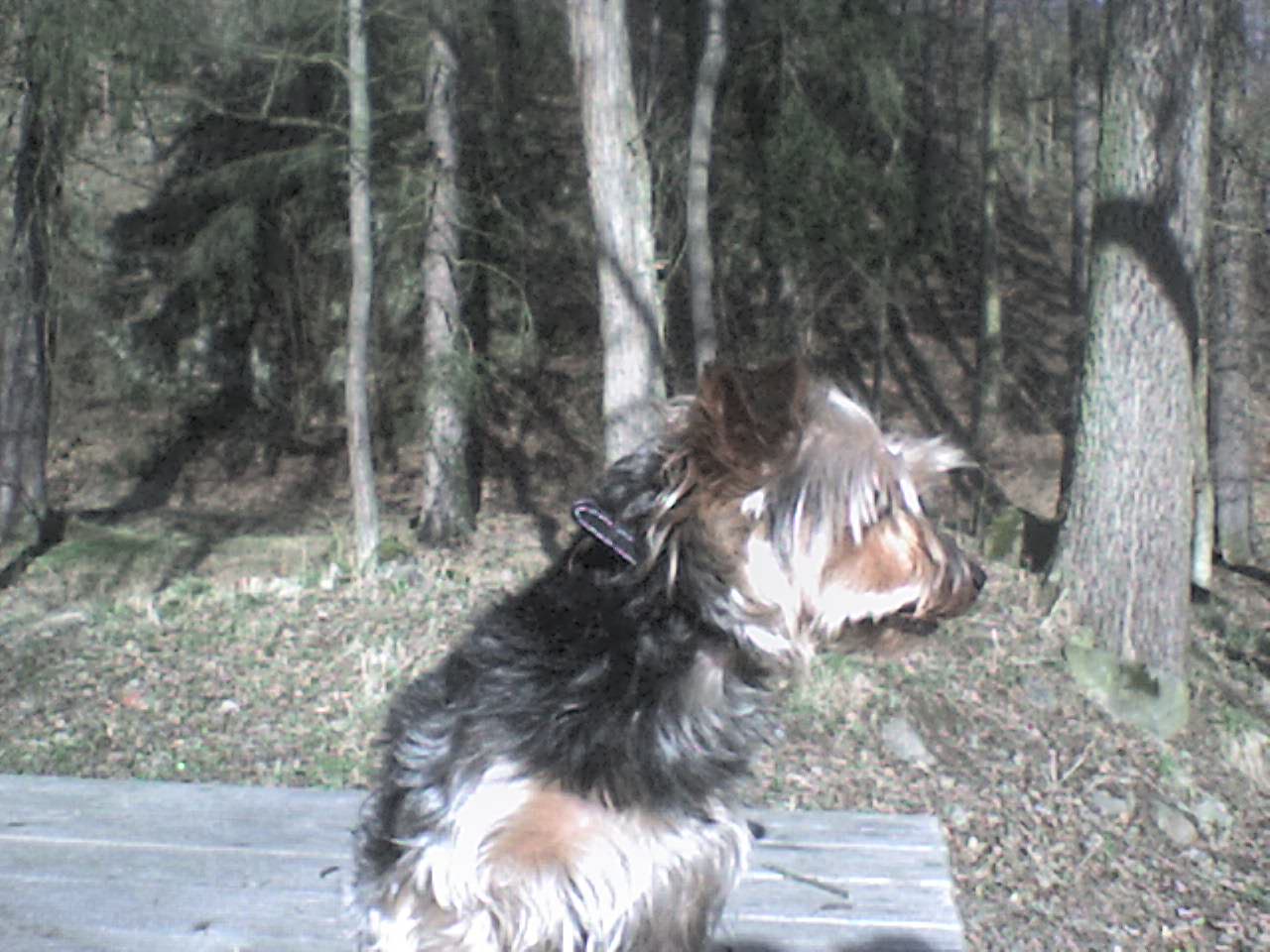 DSC00114.JPG